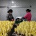 欧洲黄菊苣菜新鲜金玉兰玉兰菜基地供冰库种植长年有货