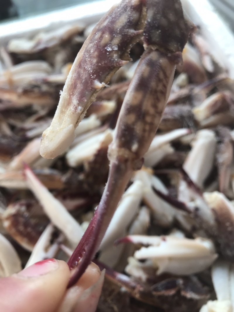 梭子蟹腿，小梭子蟹蟹钳，大号梭子蟹蟹腿麻辣，可以生呛