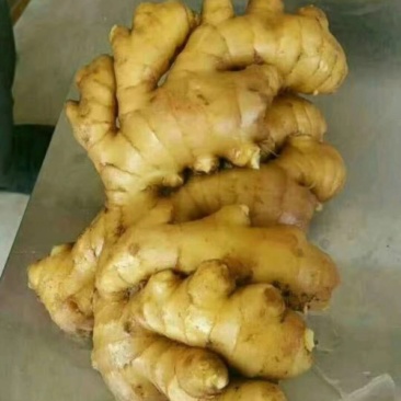 精品小黄姜货真价实，产地直供，保证质量，全国发货