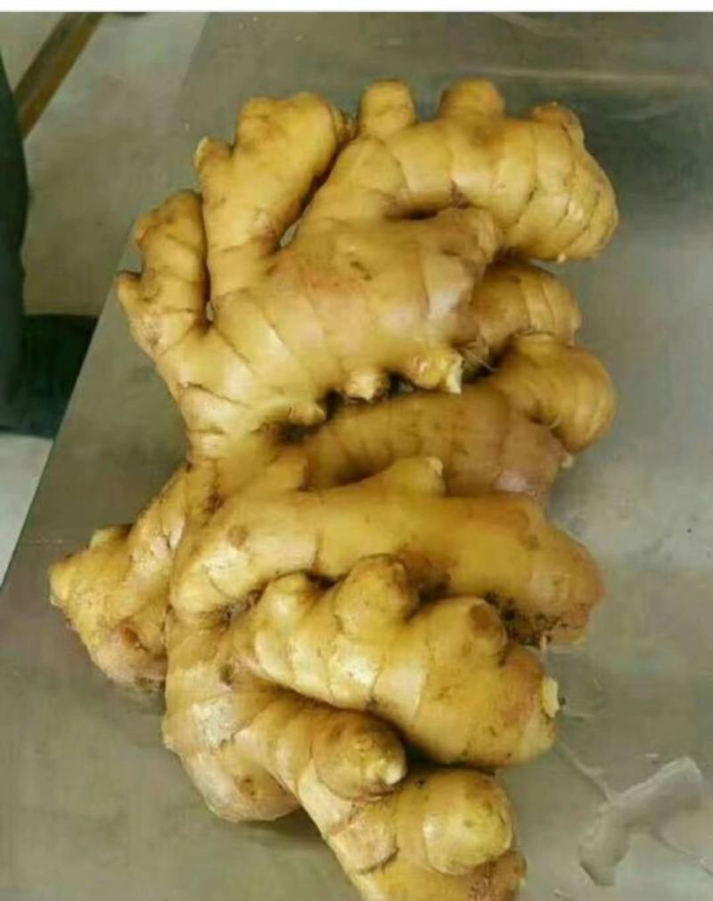 精品小黄姜货真价实，产地直供，保证质量，全国发货