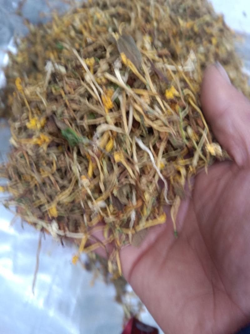 野生花一般