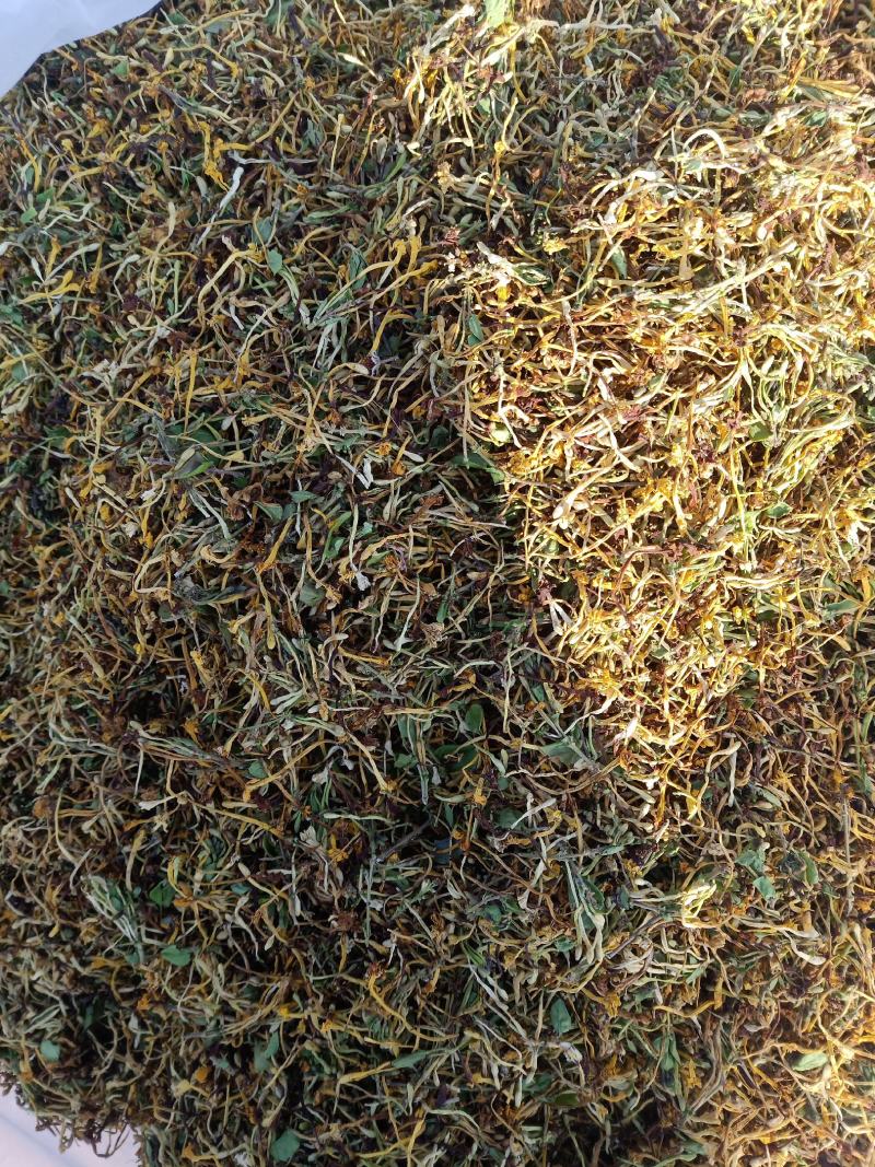 金银花云南纯绿色植物，药效好