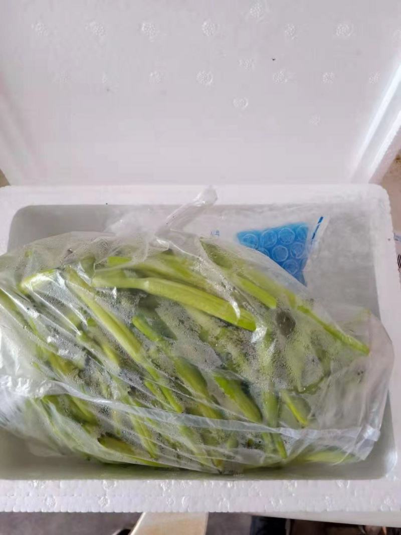 一件代发新鲜黄花菜现摘现发包邮到家专业酒店供应特菜
