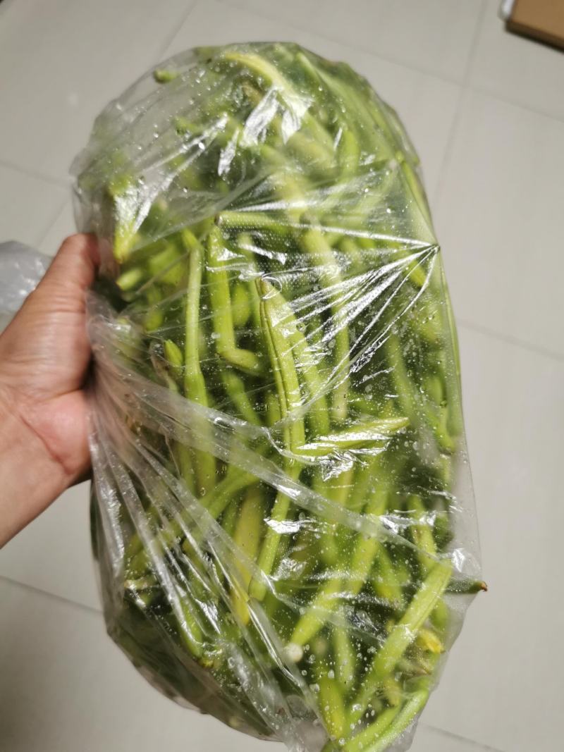 一件代发新鲜黄花菜现摘现发包邮到家专业酒店供应特菜