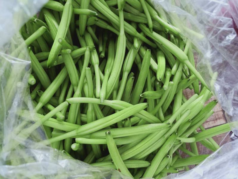 一件代发新鲜黄花菜现摘现发包邮到家专业酒店供应特菜