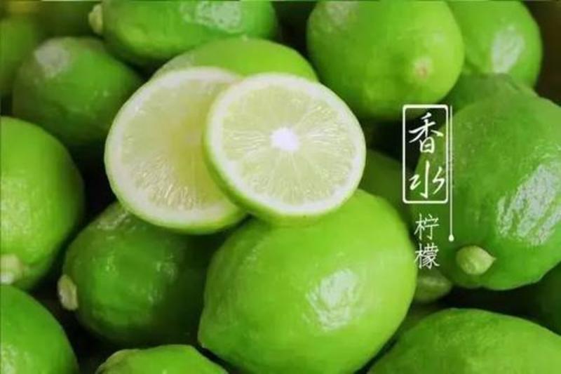自营100亩广东四季香水柠檬，香味浓郁，茶饮好帮手！