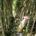 沉香布袋中树