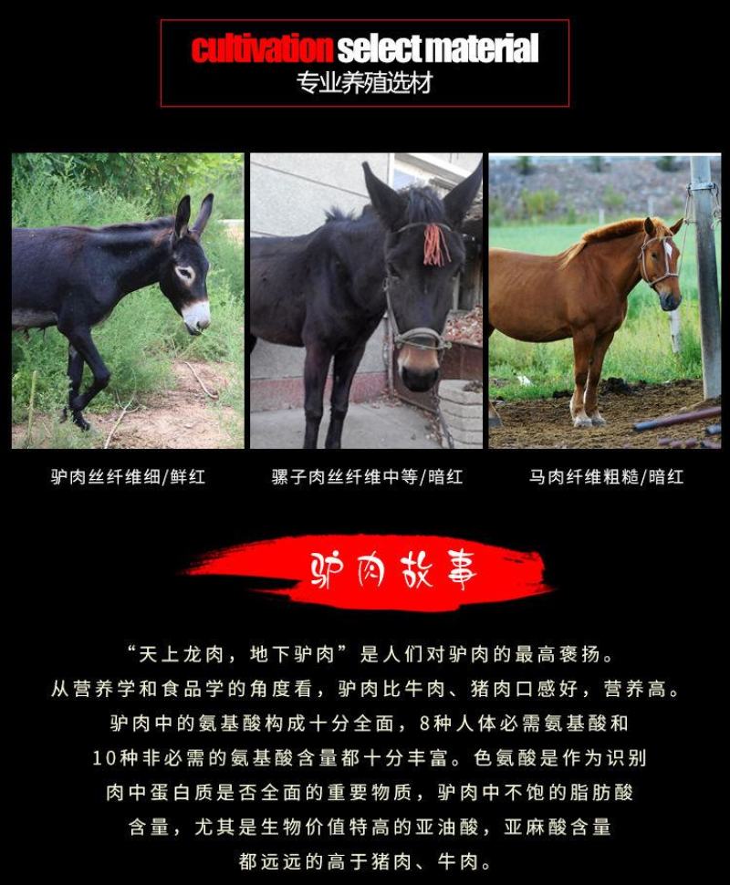 驴肉新鲜现杀冷冻散养5斤起包邮带皮不带皮五香火烧生驴肉