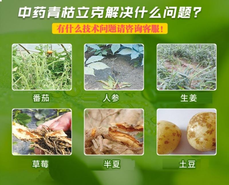 奥潍奥丰青枯立克复壮抗逆增产果树蔬菜农用通用正品水溶肥叶