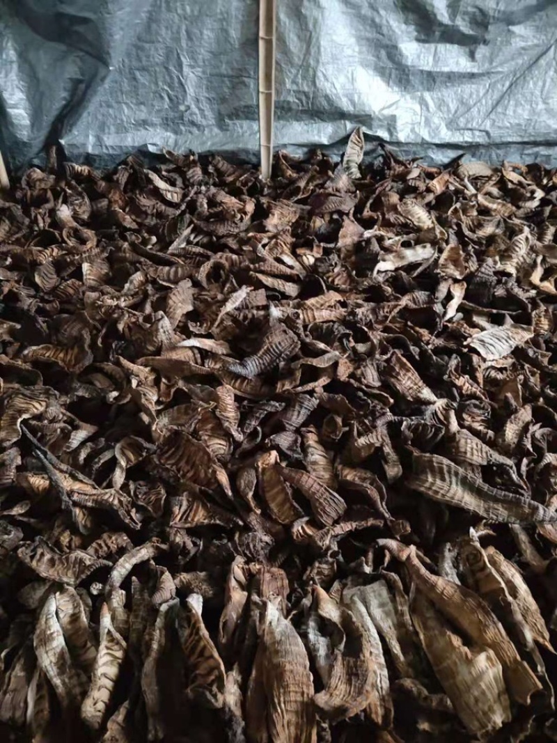 农家自制烟熏笋干烟笋干笋片干烟笋楠竹笋子柴火烟熏笋干
