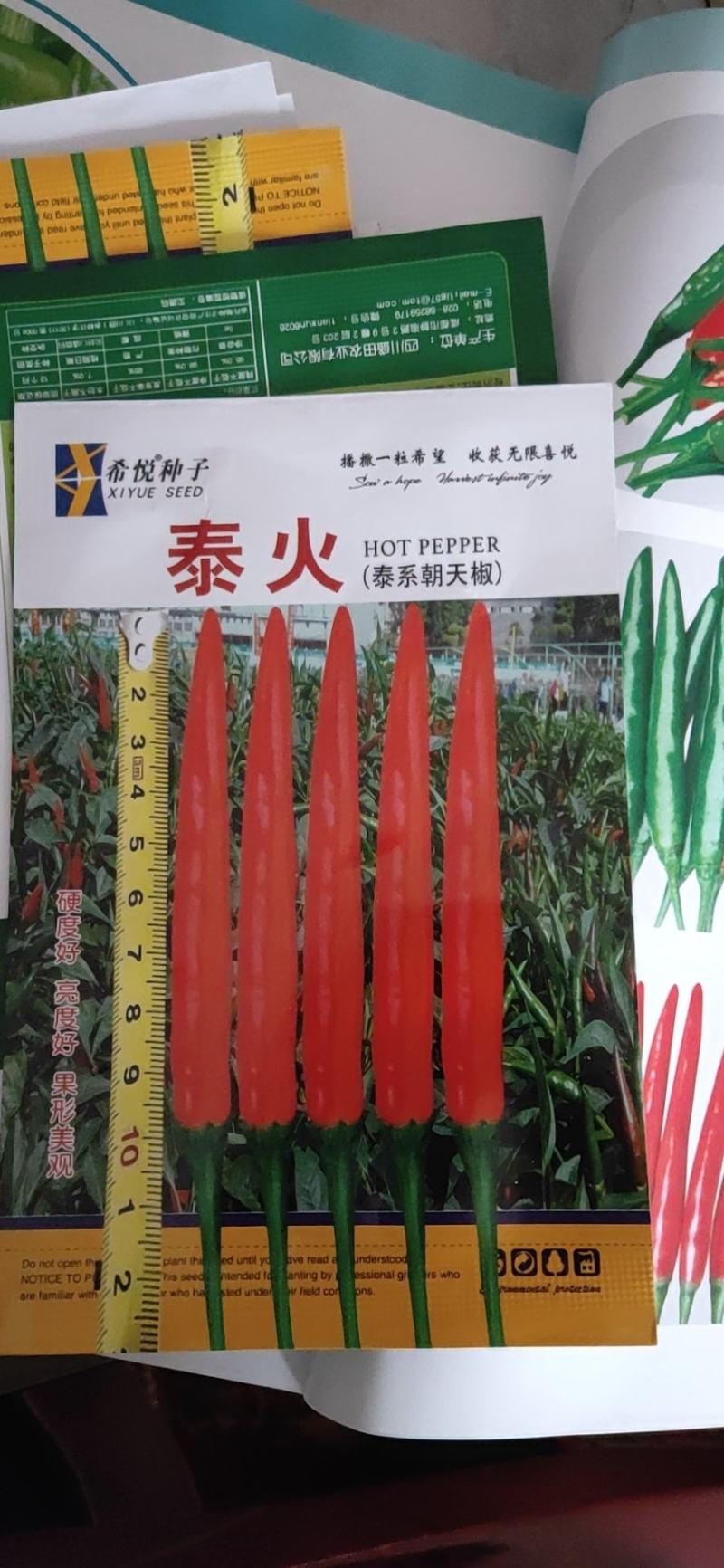 朝天椒（小米辣）高产抗病能力强辣味浓果尖细长