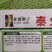 朝天椒（小米辣）高产抗病能力强辣味浓果尖细长