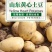 土豆滕州大棚荷兰十五，沃土，v7百分之六去称无装箱费用