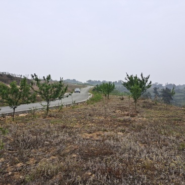 民宿，康养类建设用地