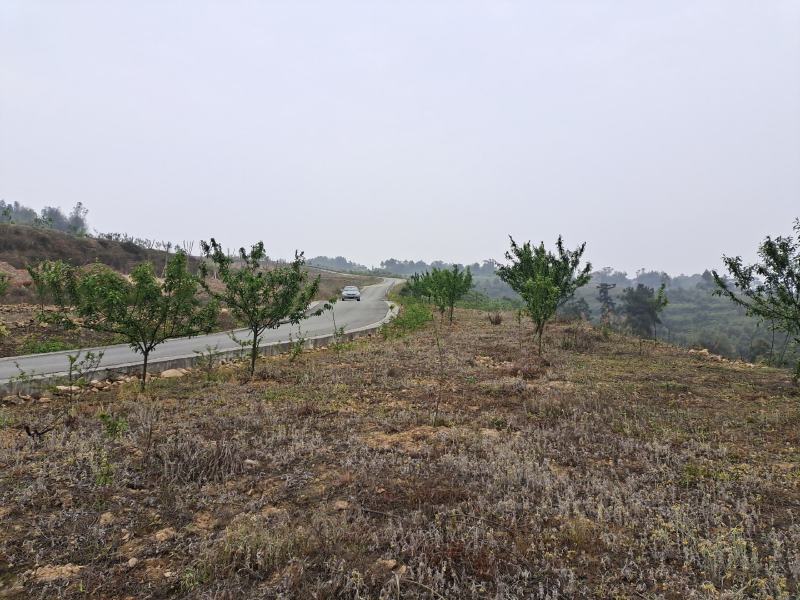 民宿，康养类建设用地