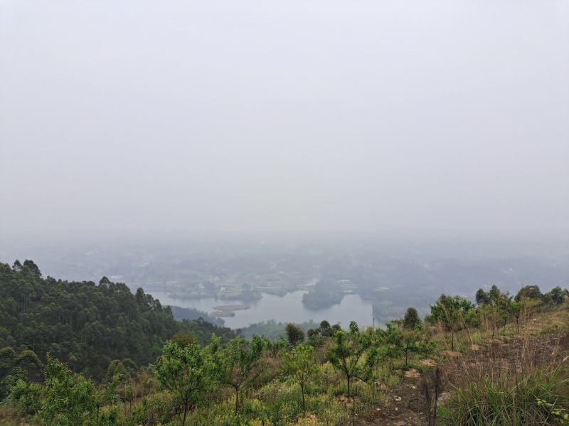 民宿，康养类建设用地