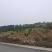 民宿，康养类建设用地