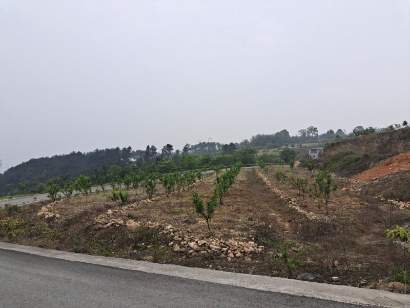 民宿，康养类建设用地
