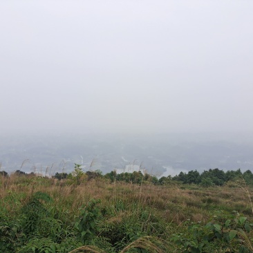 民宿，旅游用地出租
