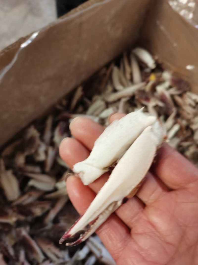 蟹钳梭子蟹飞蟹蟹钳蟹脚香辣蟹钳餐饮用水产批发