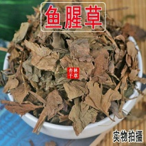 云南中药材鱼腥草纯鱼腥草茶折耳根包邮