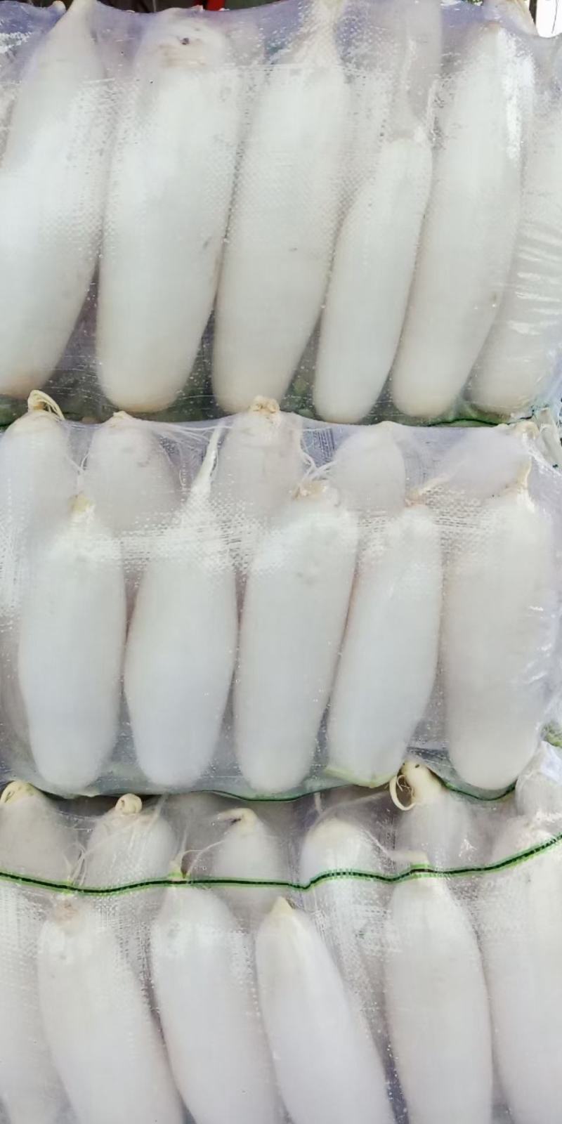 各种蔬菜大量上市，寻找有实力的合作伙伴