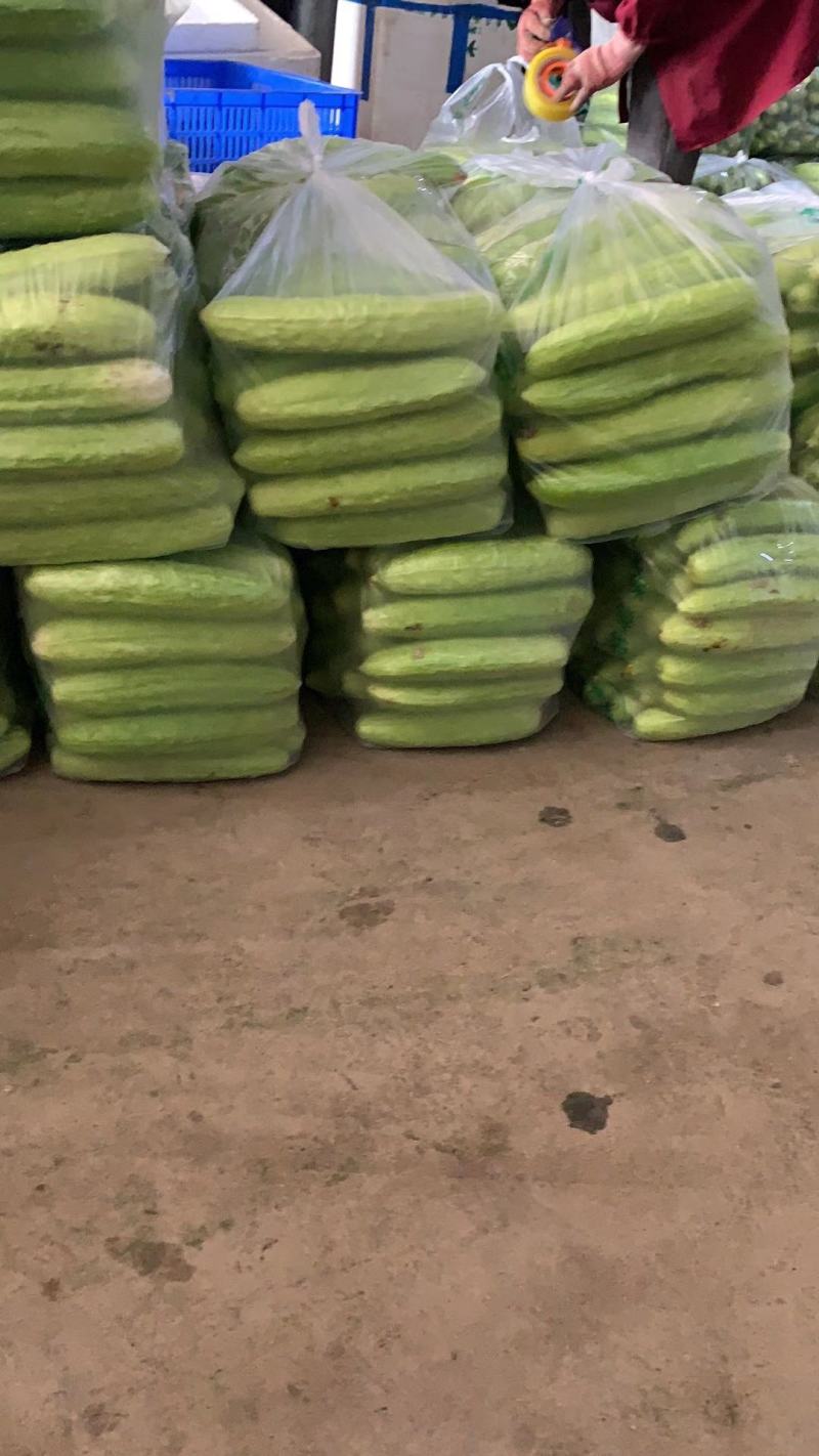各种蔬菜大量上市，寻找有实力的合作伙伴
