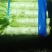各种蔬菜大量上市，寻找有实力的合作伙伴
