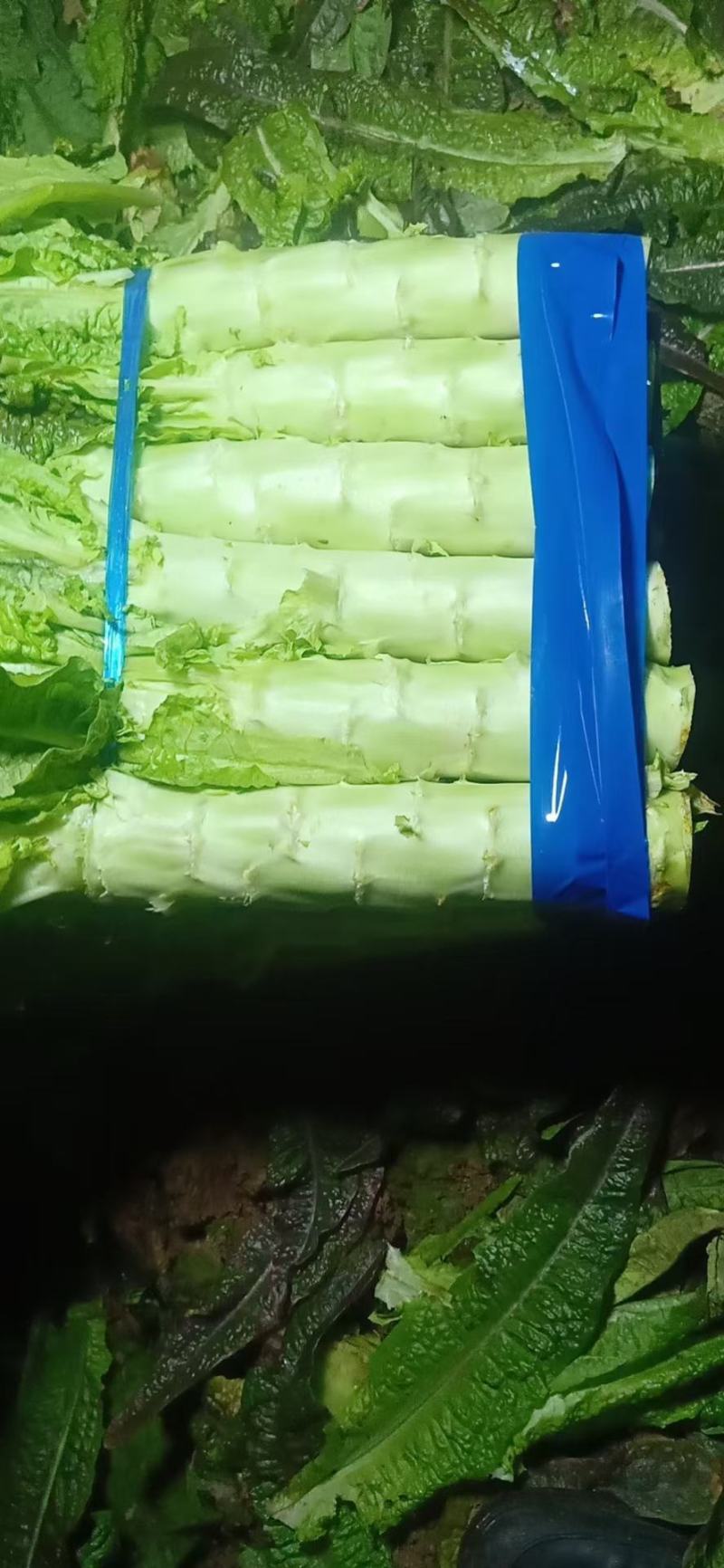 各种蔬菜大量上市，寻找有实力的合作伙伴