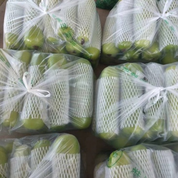 各种蔬菜大量上市，寻找有实力的合作伙伴