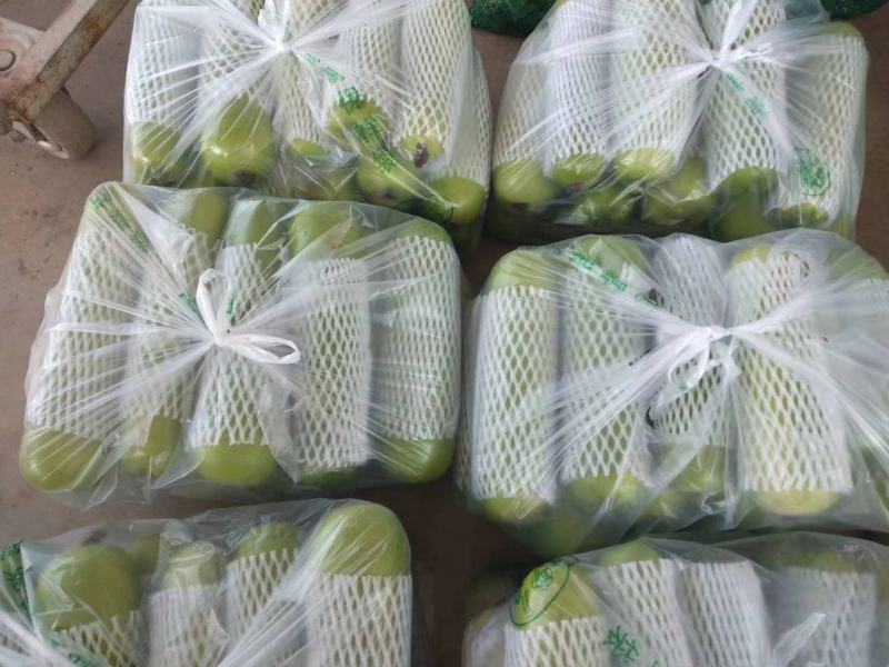 各种蔬菜大量上市，寻找有实力的合作伙伴