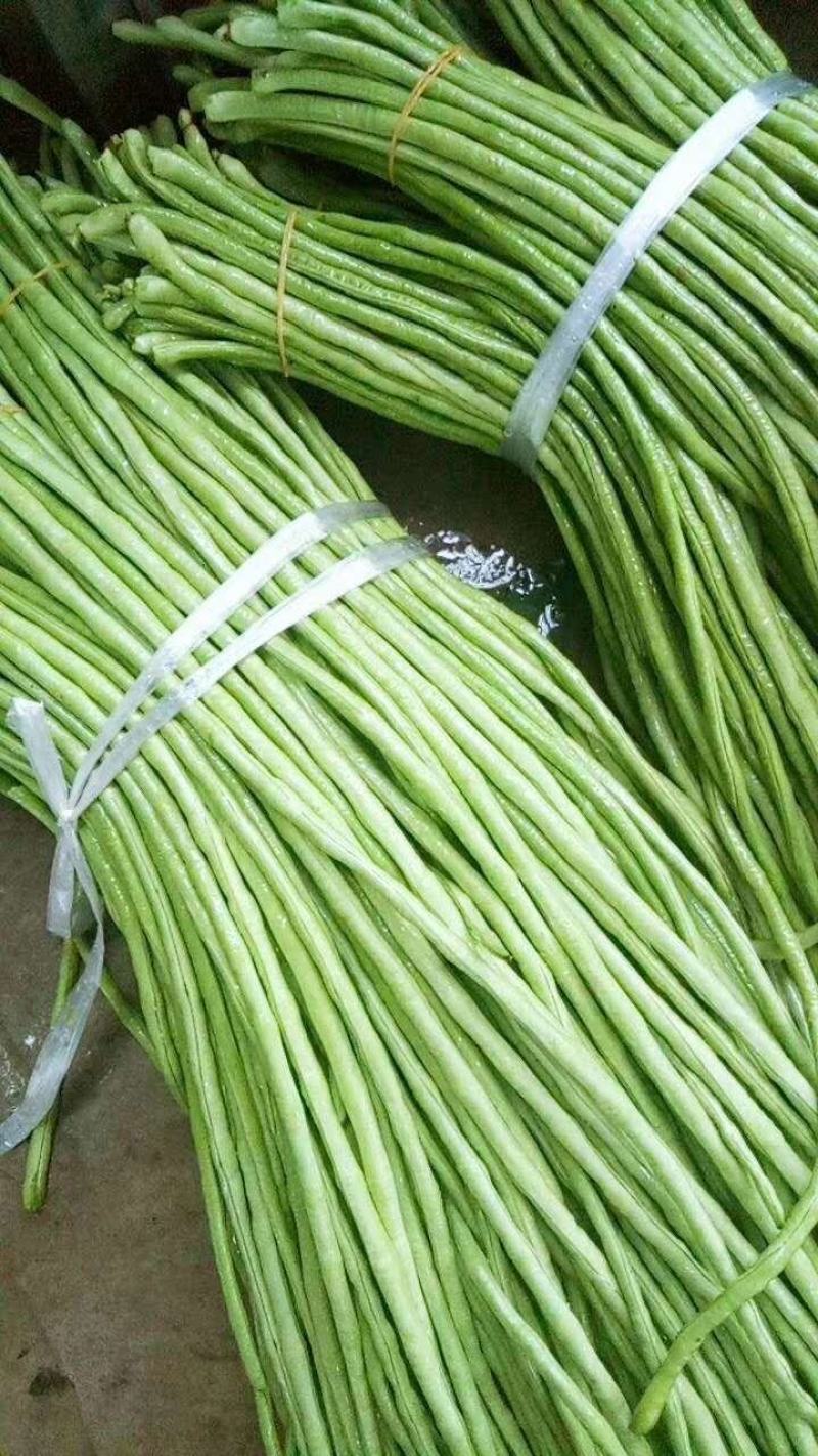 各种蔬菜大量上市，寻找有实力的合作伙伴