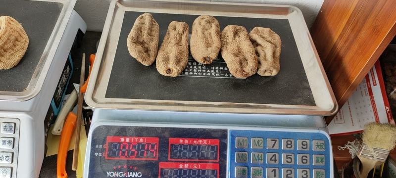 （精品）昭通天麻丽江天麻长期有货欢迎各位田友支持