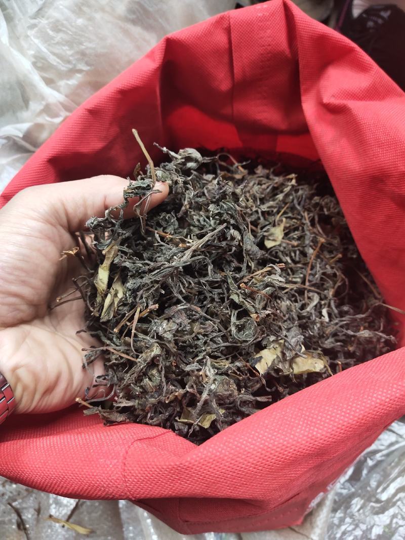 高茶，又叫老林茶，树上结的茶叶