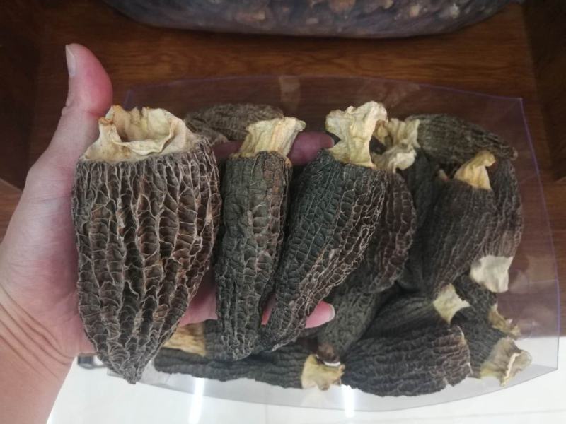 云南野生大红菇特级中菇小菇批发量大从优