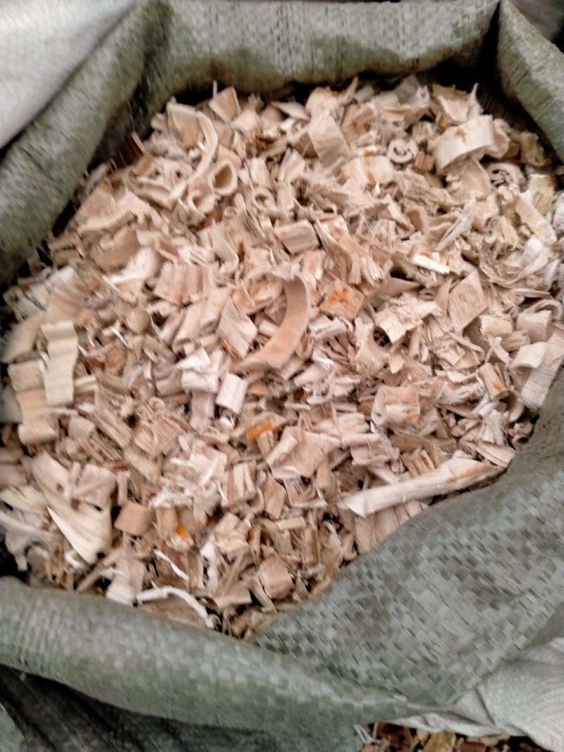 桑白皮！大货批发零售！纯正桑白皮保真含量高！
