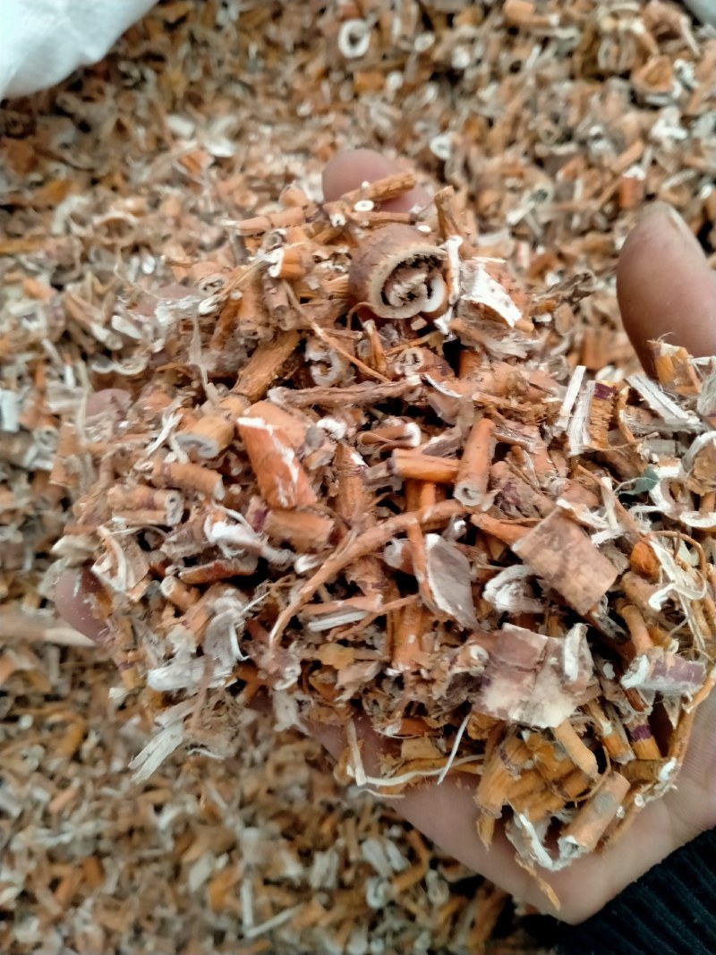 桑白皮！大货批发零售！纯正桑白皮保真含量高！
