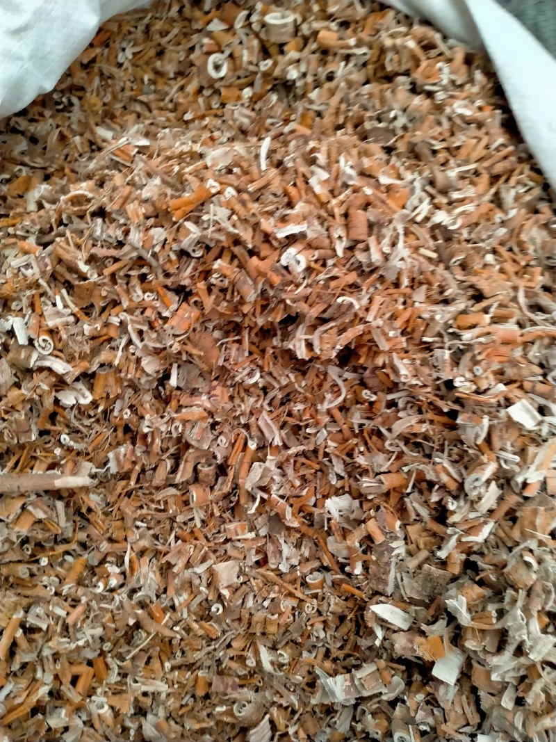 桑白皮！大货批发零售！纯正桑白皮保真含量高！