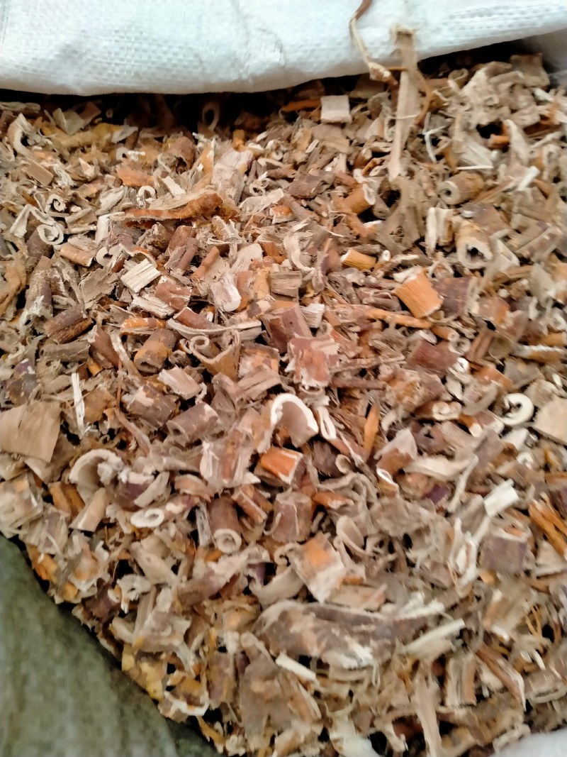 桑白皮！大货批发零售！纯正桑白皮保真含量高！