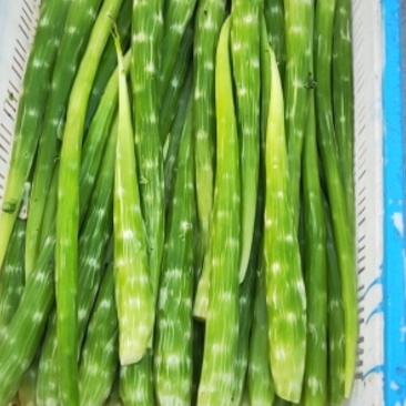 精品莴笋肉