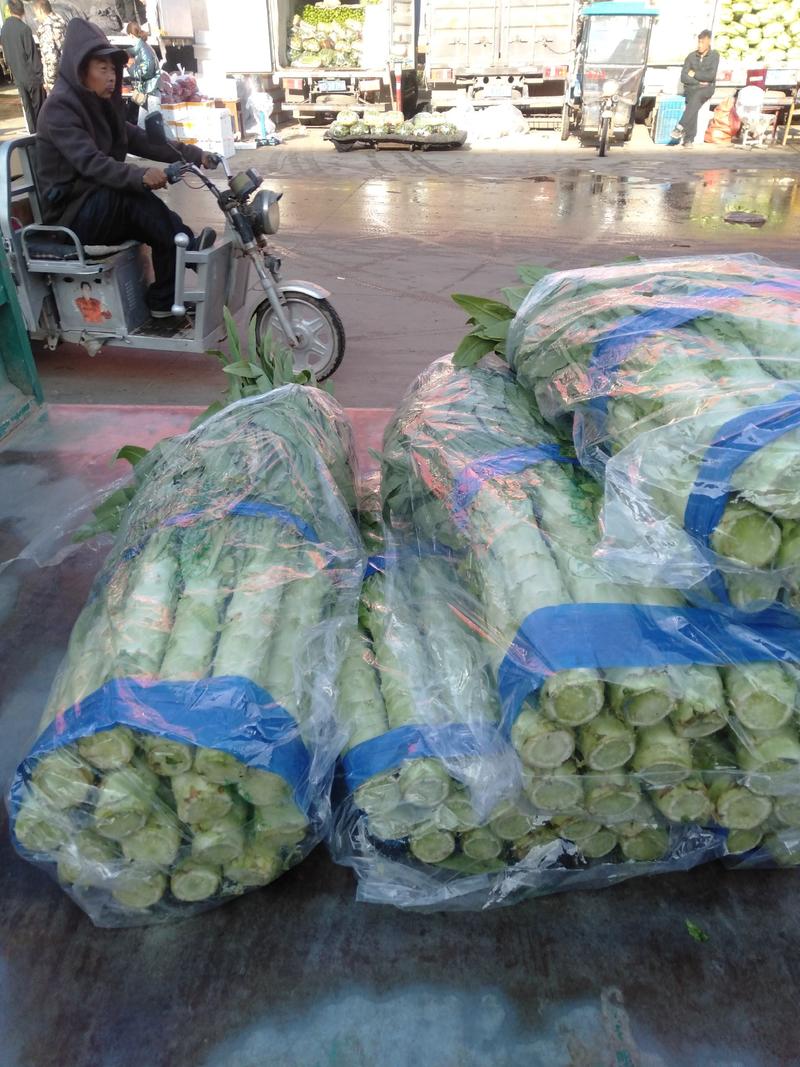 河北邯郸，莴苣大量有货。