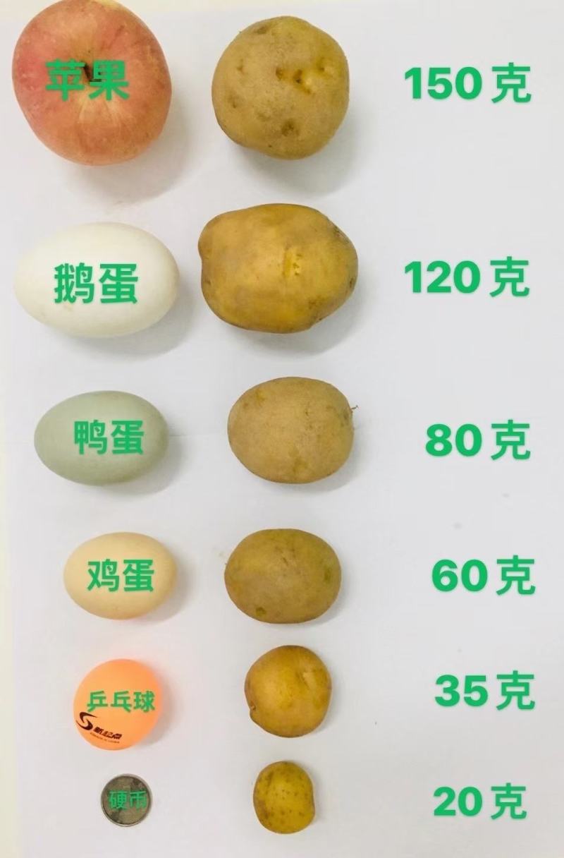 恩施富硒小土豆