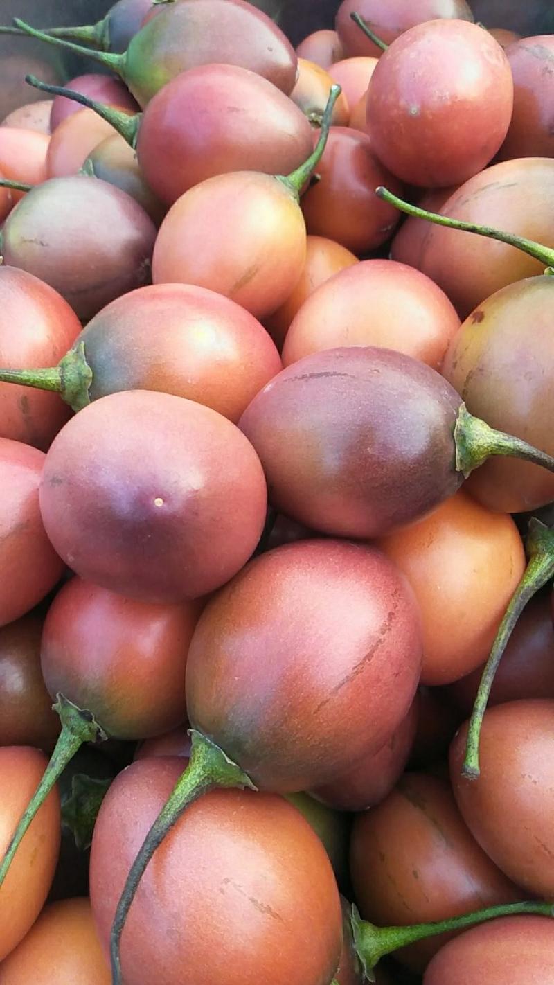 树蕃茄，云南也叫鸡蛋果，对接商超，批发市场，一件代发。