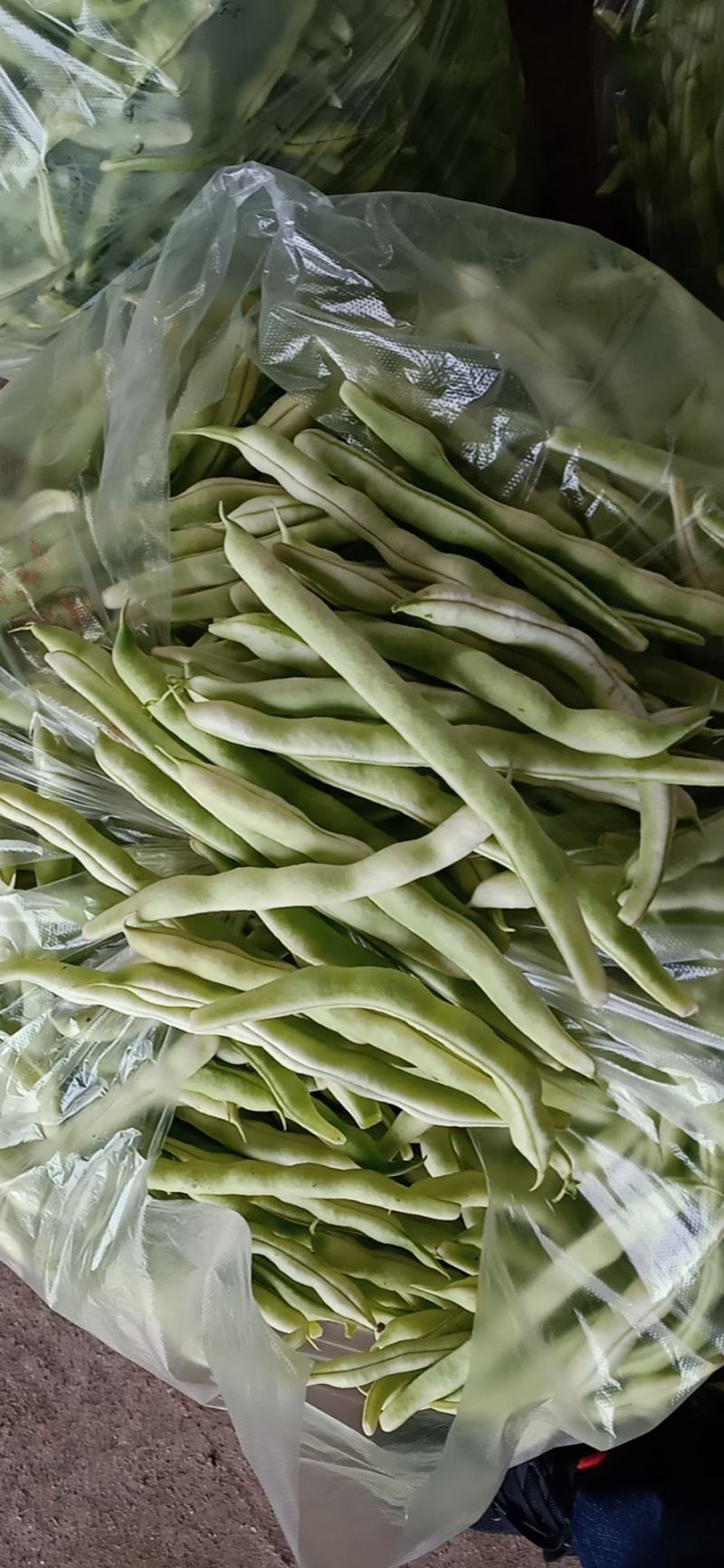 精品芸豆长期供应超市。小贩