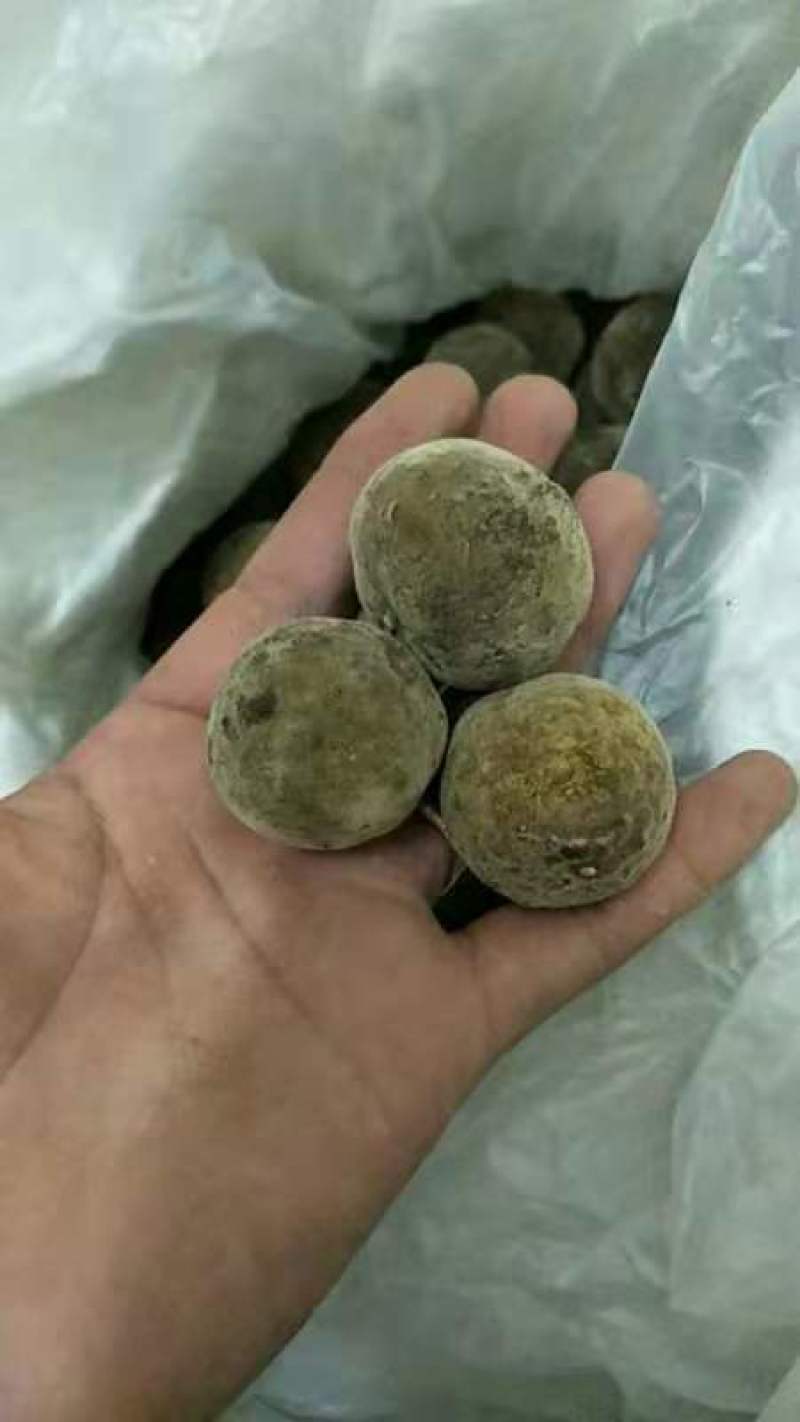 橘红，正宗化州橘红