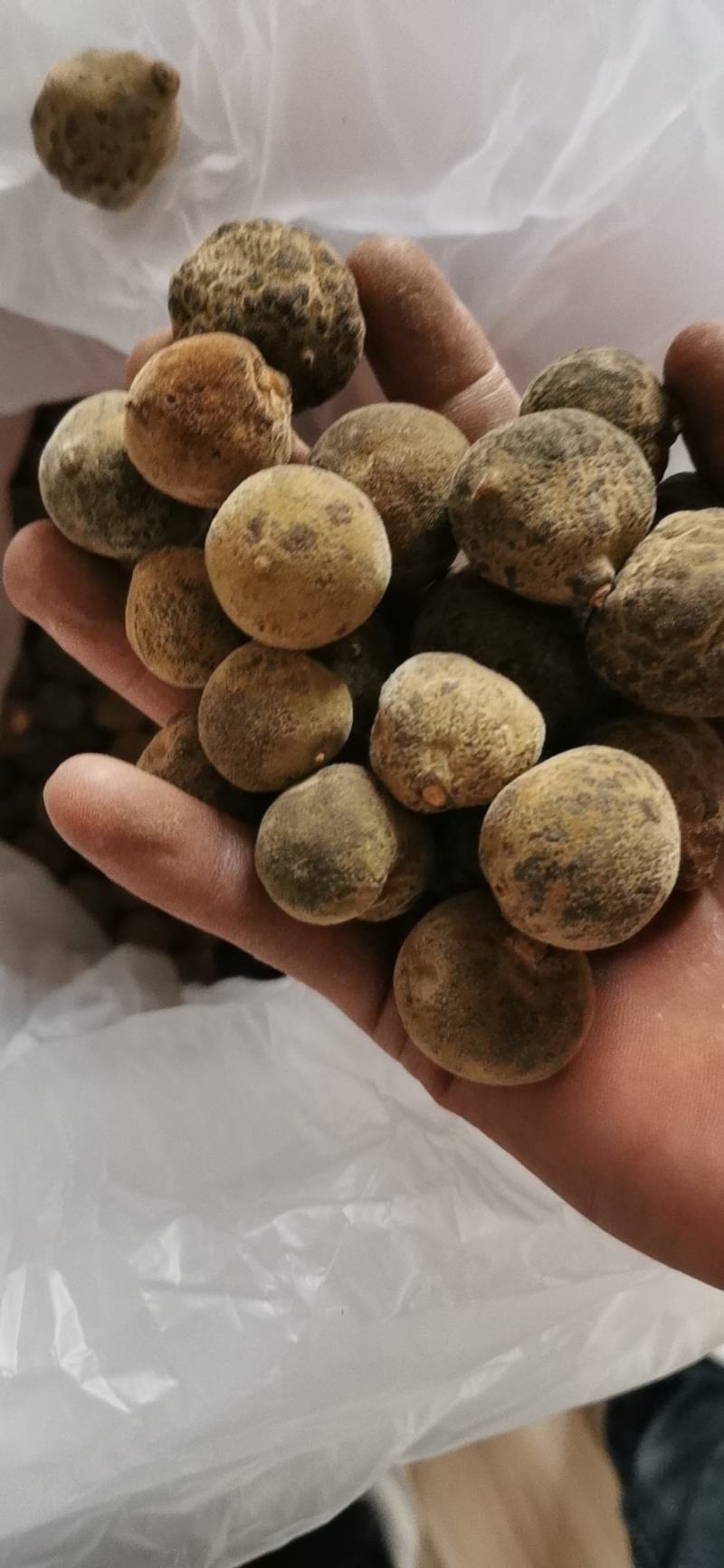 橘红，正宗化州橘红