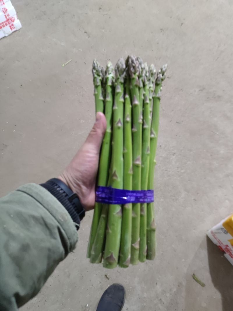 上海嘉友崇明生态岛有机绿芦笋