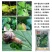 瑞士密达四聚乙醛6%蜗牛鼻涕虫软休动物撒施杀虫剂
