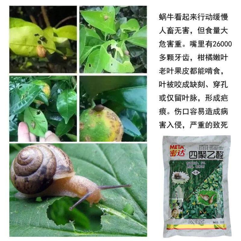 瑞士密达四聚乙醛6%蜗牛鼻涕虫软休动物撒施杀虫剂