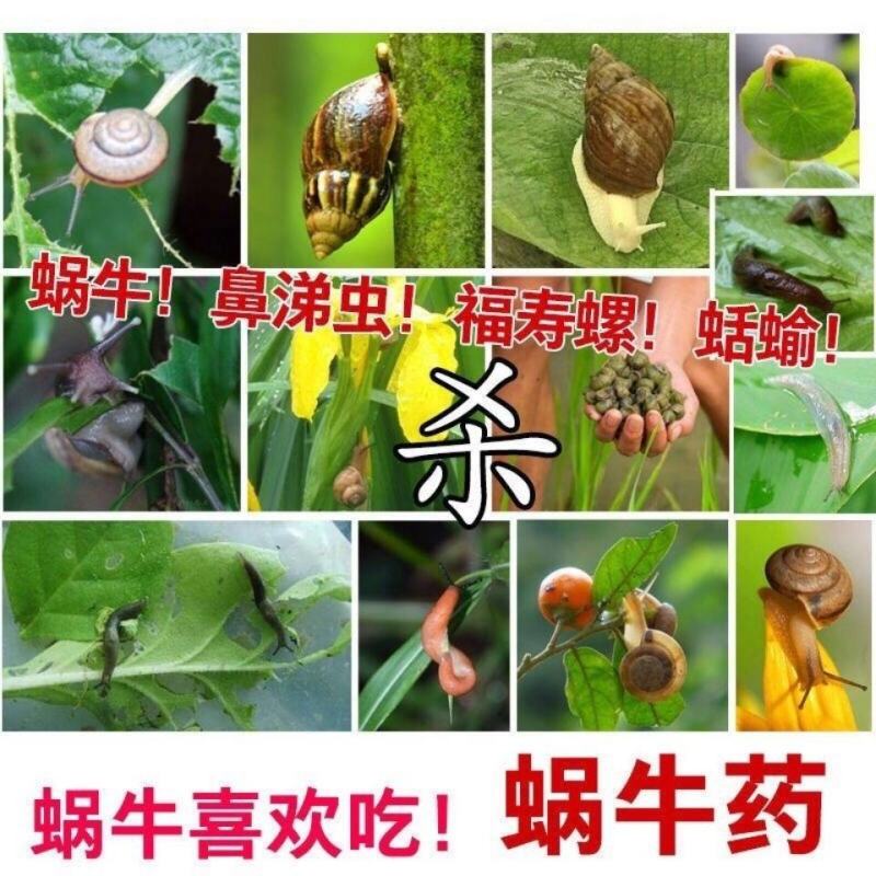 软体虫药隆特6%四聚乙醛杀蜗牛药鼻涕虫福寿螺克星杀虫剂